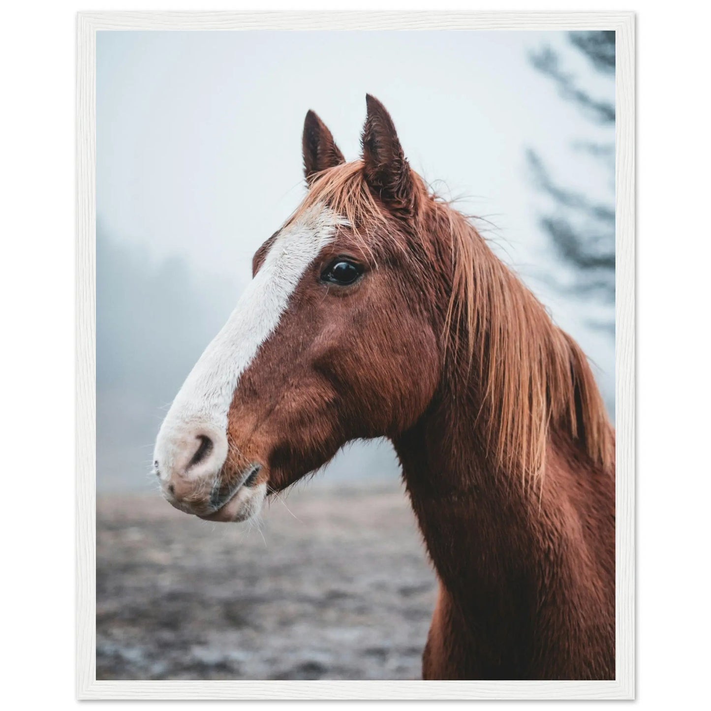 “Premium 🌿Earth-Conscious Pine Wall Art” - Animal Collections: Horse - Canvas Wiggle