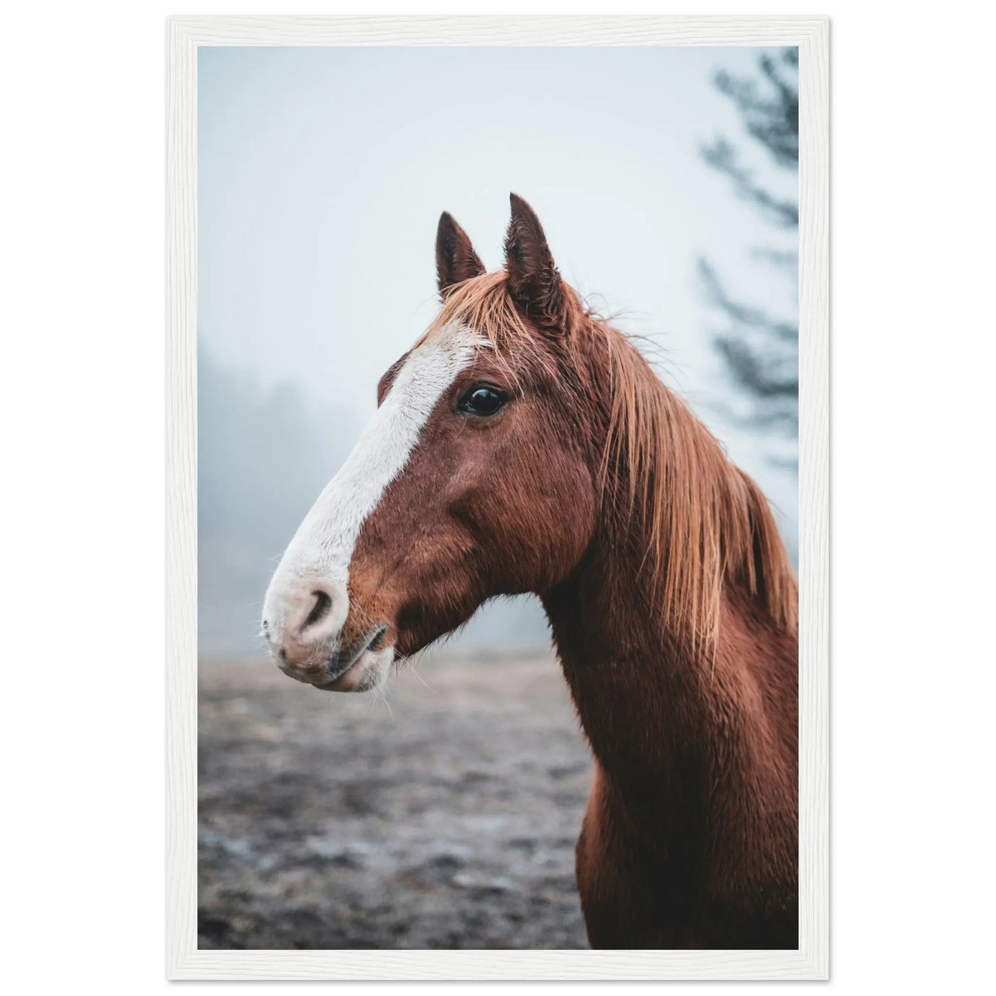 “Premium 🌿Earth-Conscious Pine Wall Art” - Animal Collections: Horse - Canvas Wiggle