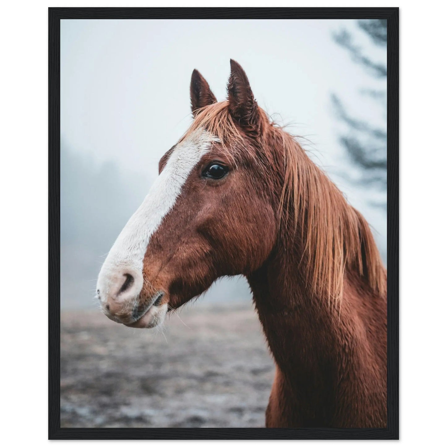 “Premium 🌿Earth-Conscious Pine Wall Art” - Animal Collections: Horse - Canvas Wiggle