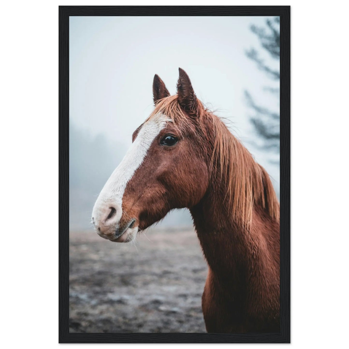 “Premium 🌿Earth-Conscious Pine Wall Art” - Animal Collections: Horse - Canvas Wiggle