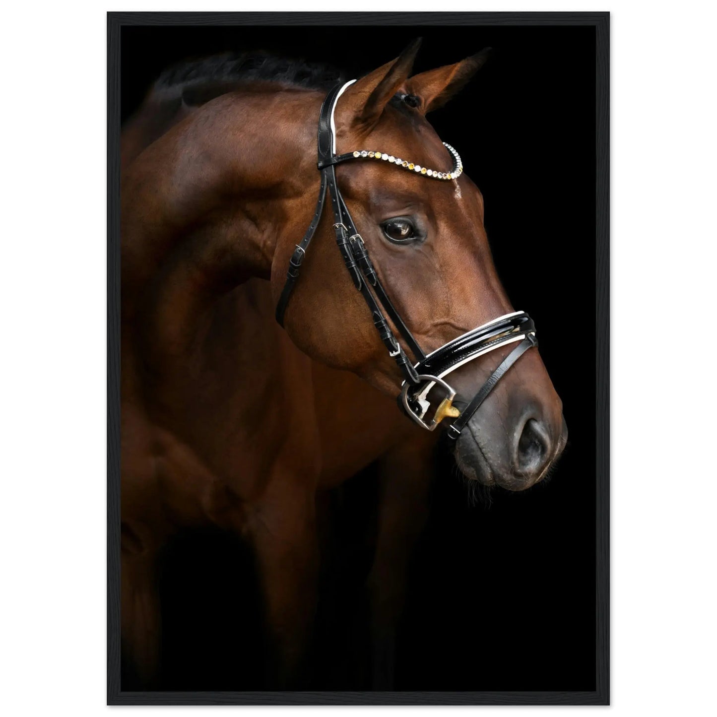 “Premium 🌿Earth-Conscious Pine Wall Art” - Animal Collections: Horse, Germany - Canvas Wiggle