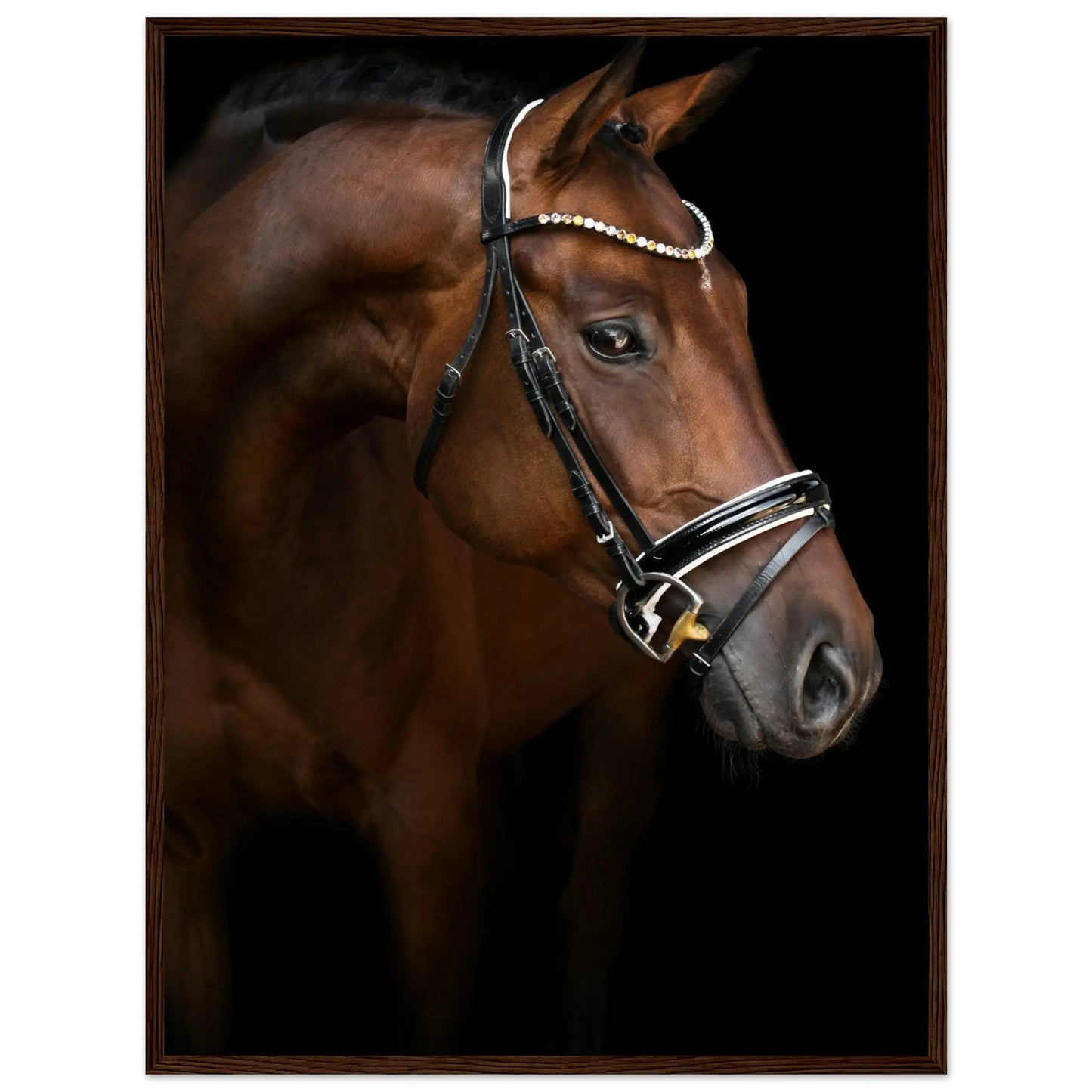 “Premium 🌿Earth-Conscious Pine Wall Art” - Animal Collections: Horse, Germany - Canvas Wiggle