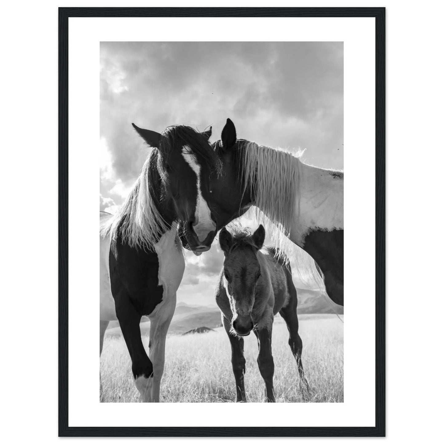 “Premium 🌿Earth-Conscious Pine Wall Art” - Animal Collections: Horses, Italy - Canvas Wiggle