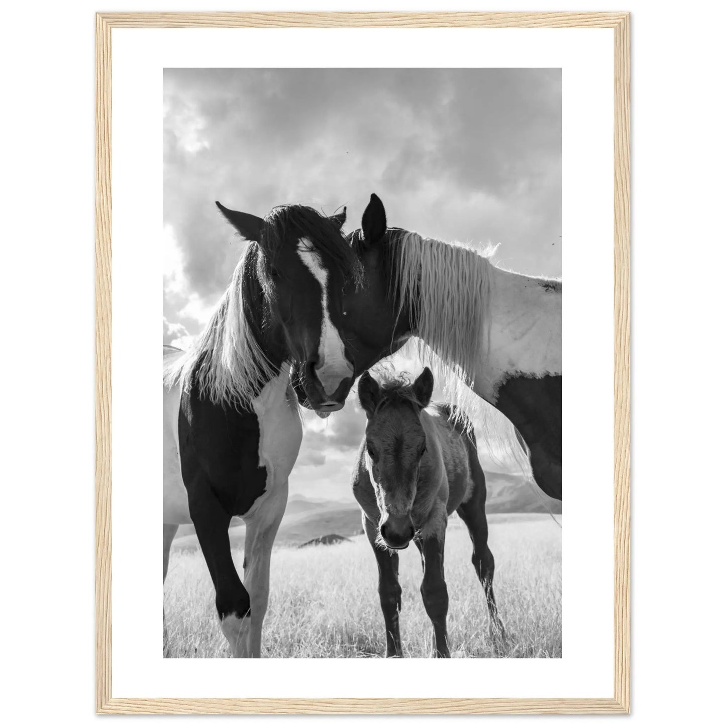 “Premium 🌿Earth-Conscious Pine Wall Art” - Animal Collections: Horses, Italy - Canvas Wiggle