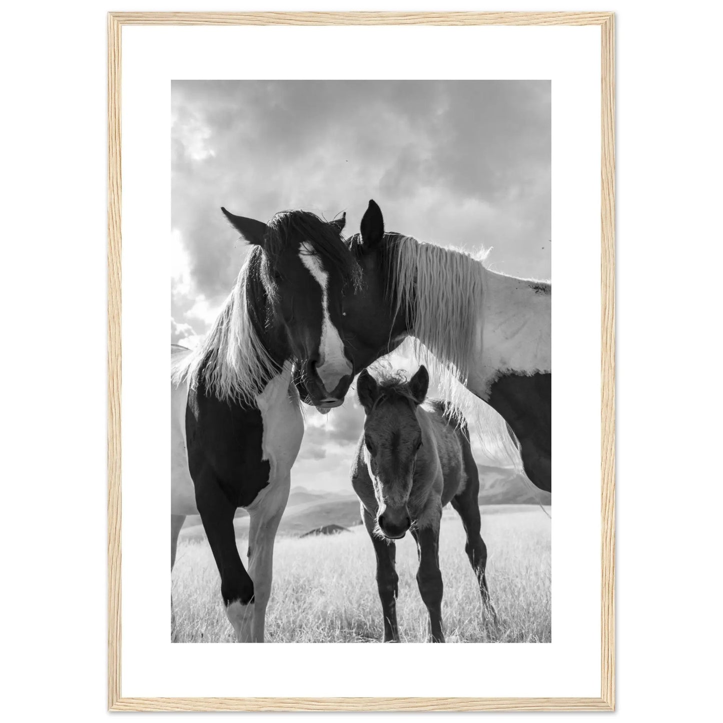 “Premium 🌿Earth-Conscious Pine Wall Art” - Animal Collections: Horses, Italy - Canvas Wiggle