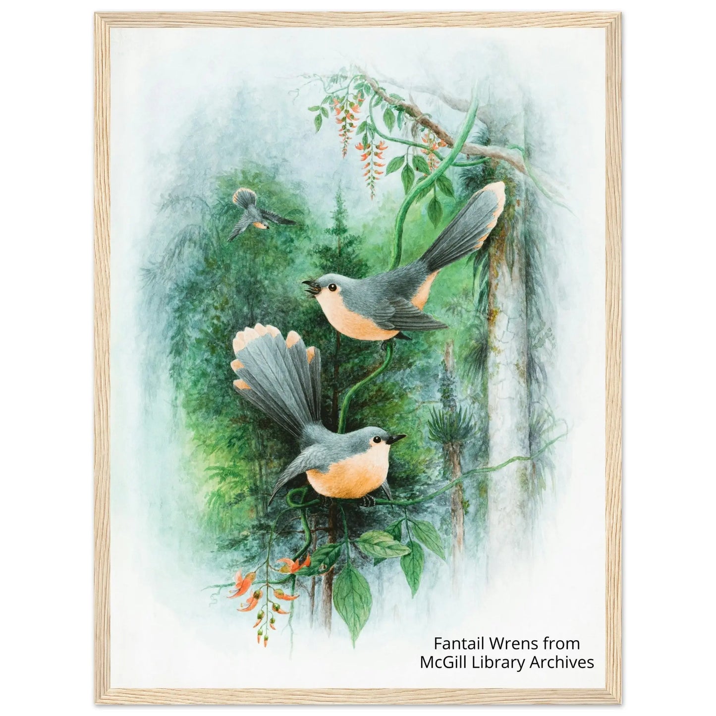 “Premium 🌿Earth-Conscious Pine Wall Art” - Classic Oil Painting Bird and Flower Collections: Fantail Wrens - Canvas Wiggle