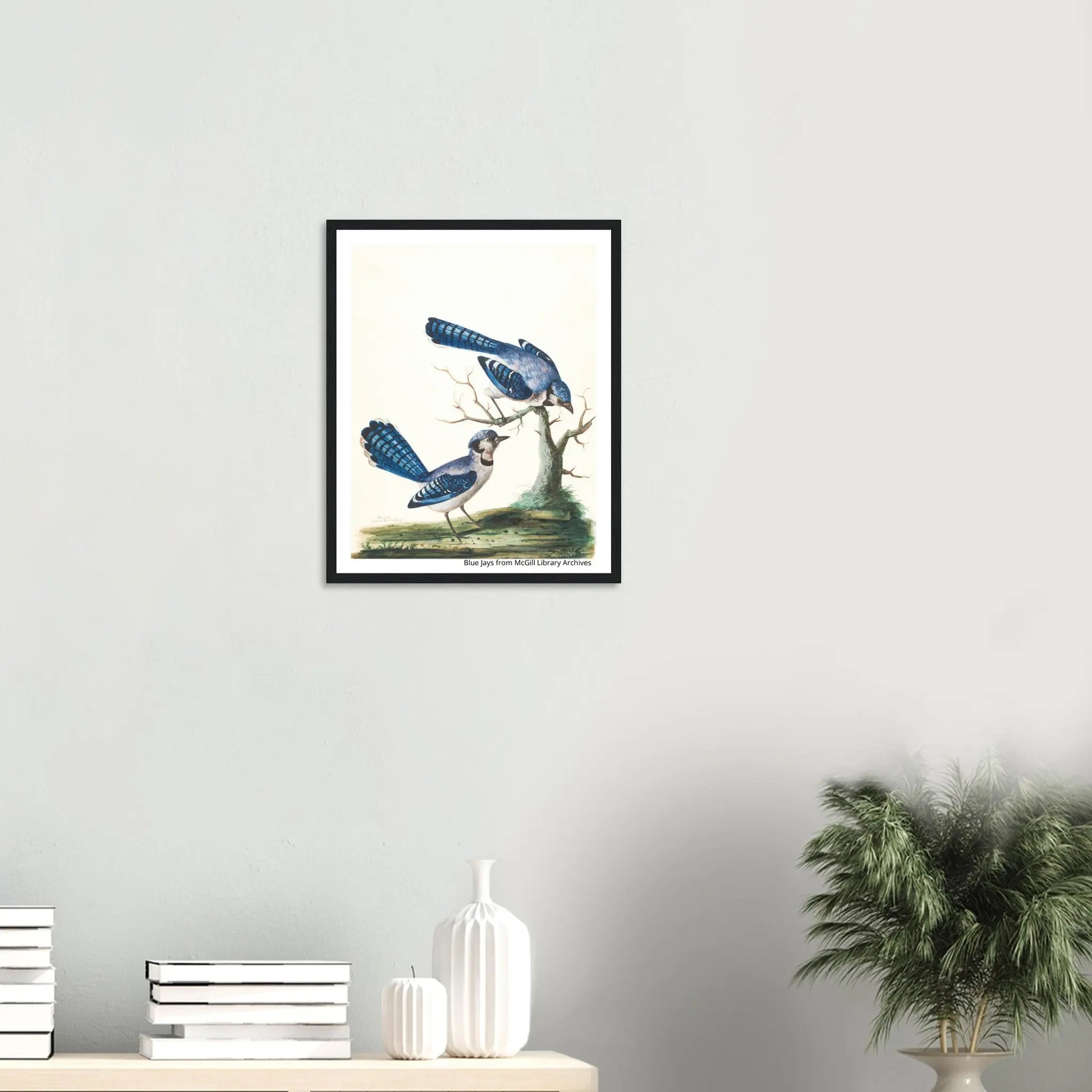 “Premium 🌿Earth-Conscious Pine Wall Art” - Classic Oil Painting, Bird and Flower Collections: Blue Jays from McGill Library Archives - Canvas Wiggle