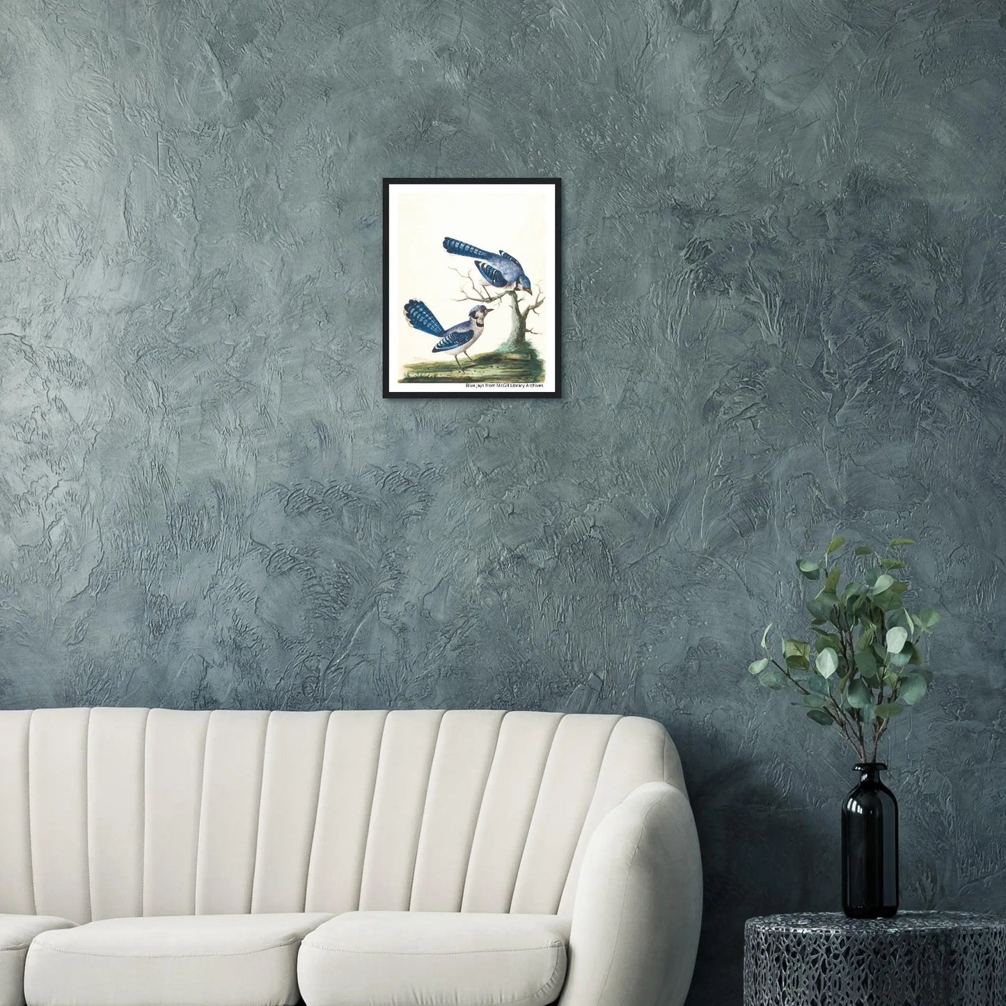 “Premium 🌿Earth-Conscious Pine Wall Art” - Classic Oil Painting, Bird and Flower Collections: Blue Jays from McGill Library Archives - Canvas Wiggle