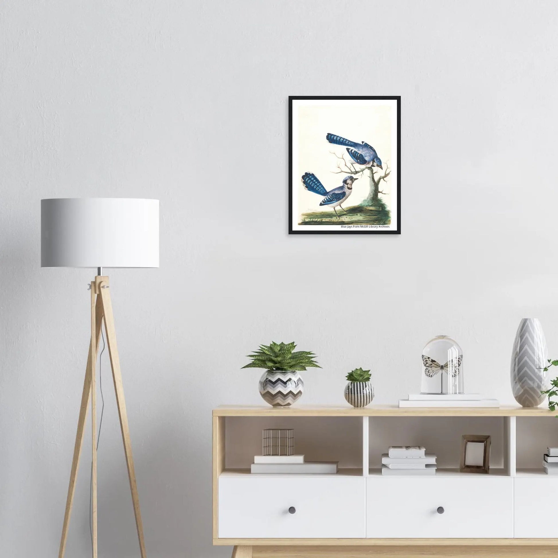 “Premium 🌿Earth-Conscious Pine Wall Art” - Classic Oil Painting, Bird and Flower Collections: Blue Jays from McGill Library Archives - Canvas Wiggle