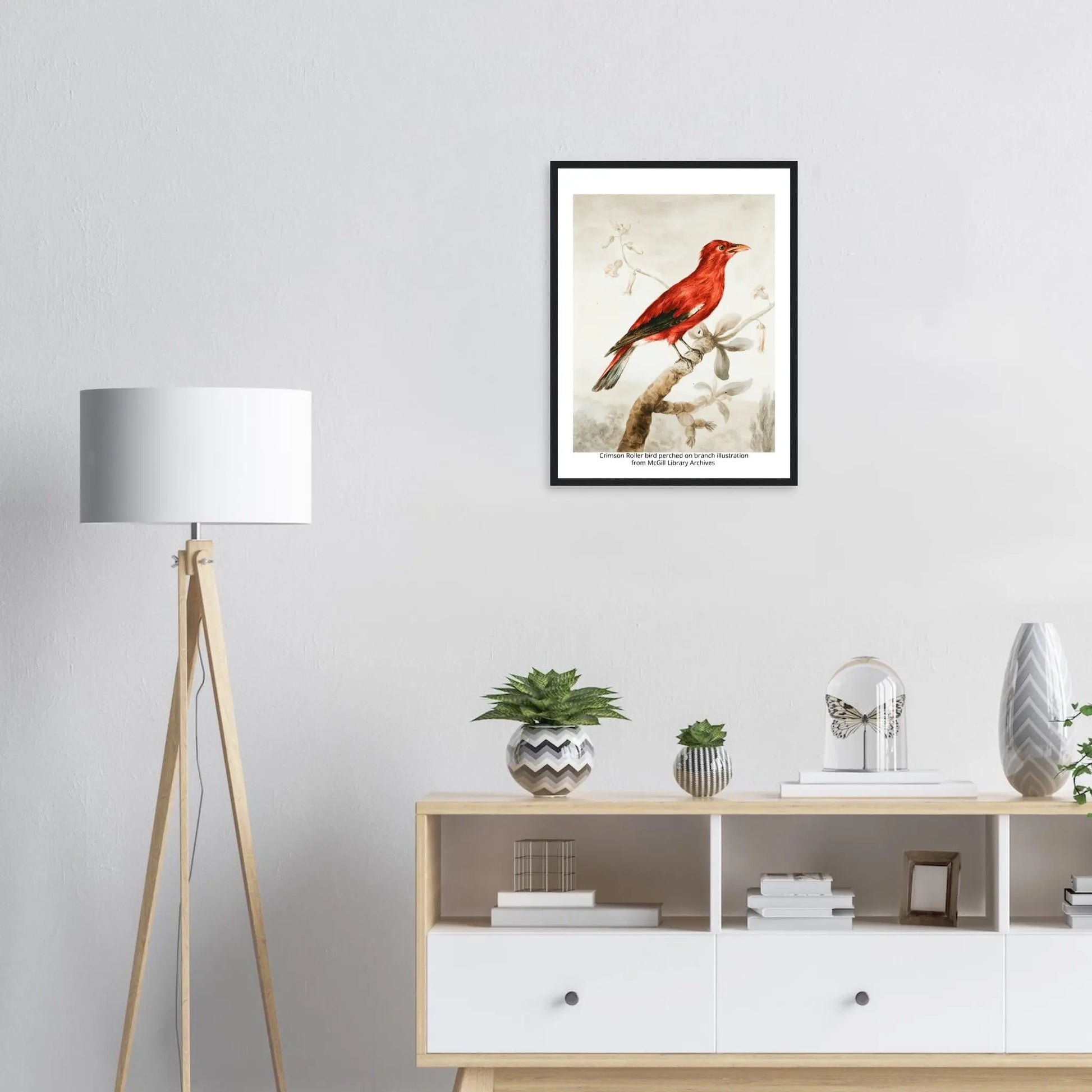 “Premium 🌿Earth-Conscious Pine Wall Art” - Classic Oil Painting, Bird and Flower Collections: Crimson Roller from McGill Library Archives - Canvas Wiggle