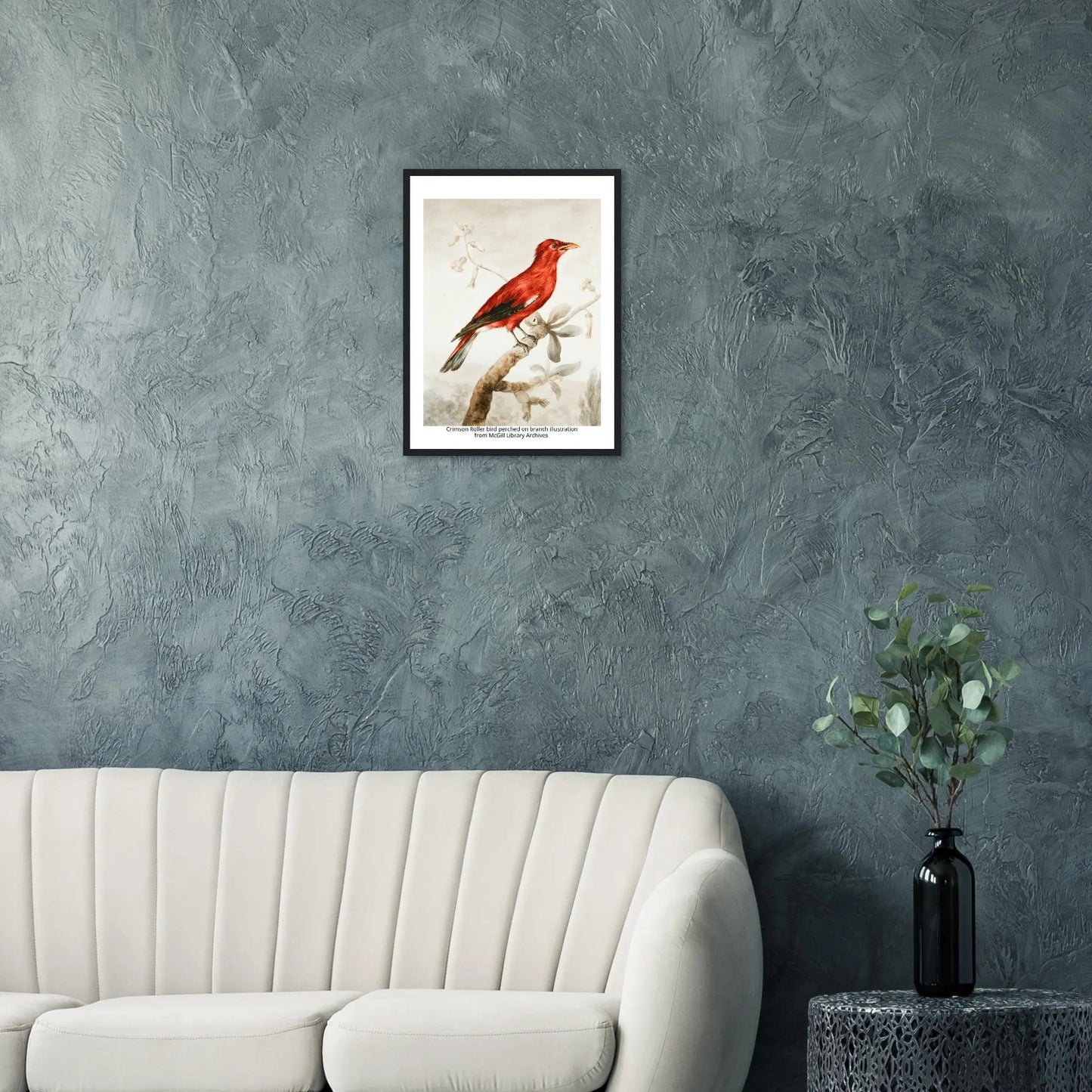 “Premium 🌿Earth-Conscious Pine Wall Art” - Classic Oil Painting, Bird and Flower Collections: Crimson Roller from McGill Library Archives - Canvas Wiggle