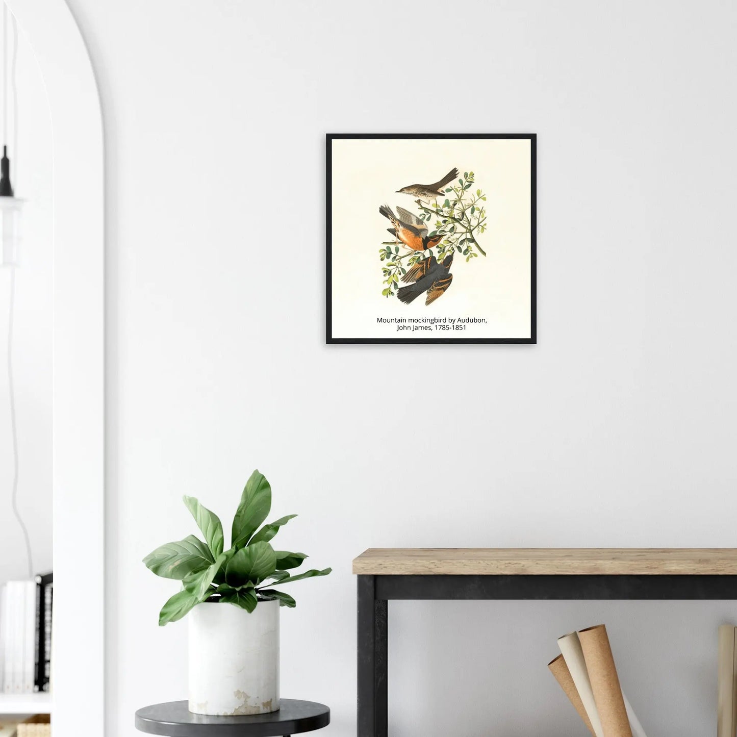 “Premium 🌿Earth-Conscious Pine Wall Art” - Classic Oil Painting, Bird and Flower Collections: Mountain Mockingbird by Audubon, John James, 1785-1851 - Canvas Wiggle