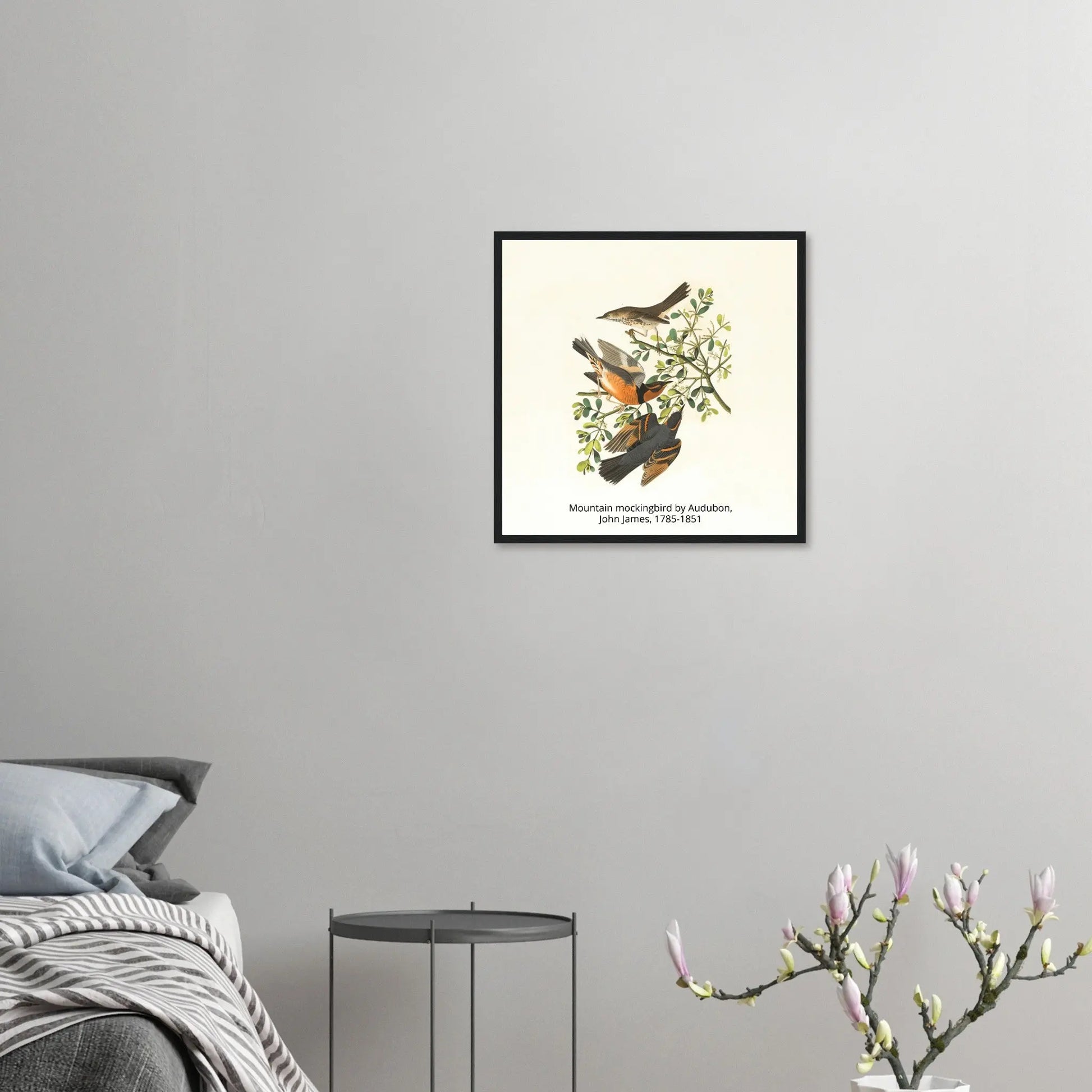 “Premium 🌿Earth-Conscious Pine Wall Art” - Classic Oil Painting, Bird and Flower Collections: Mountain Mockingbird by Audubon, John James, 1785-1851 - Canvas Wiggle