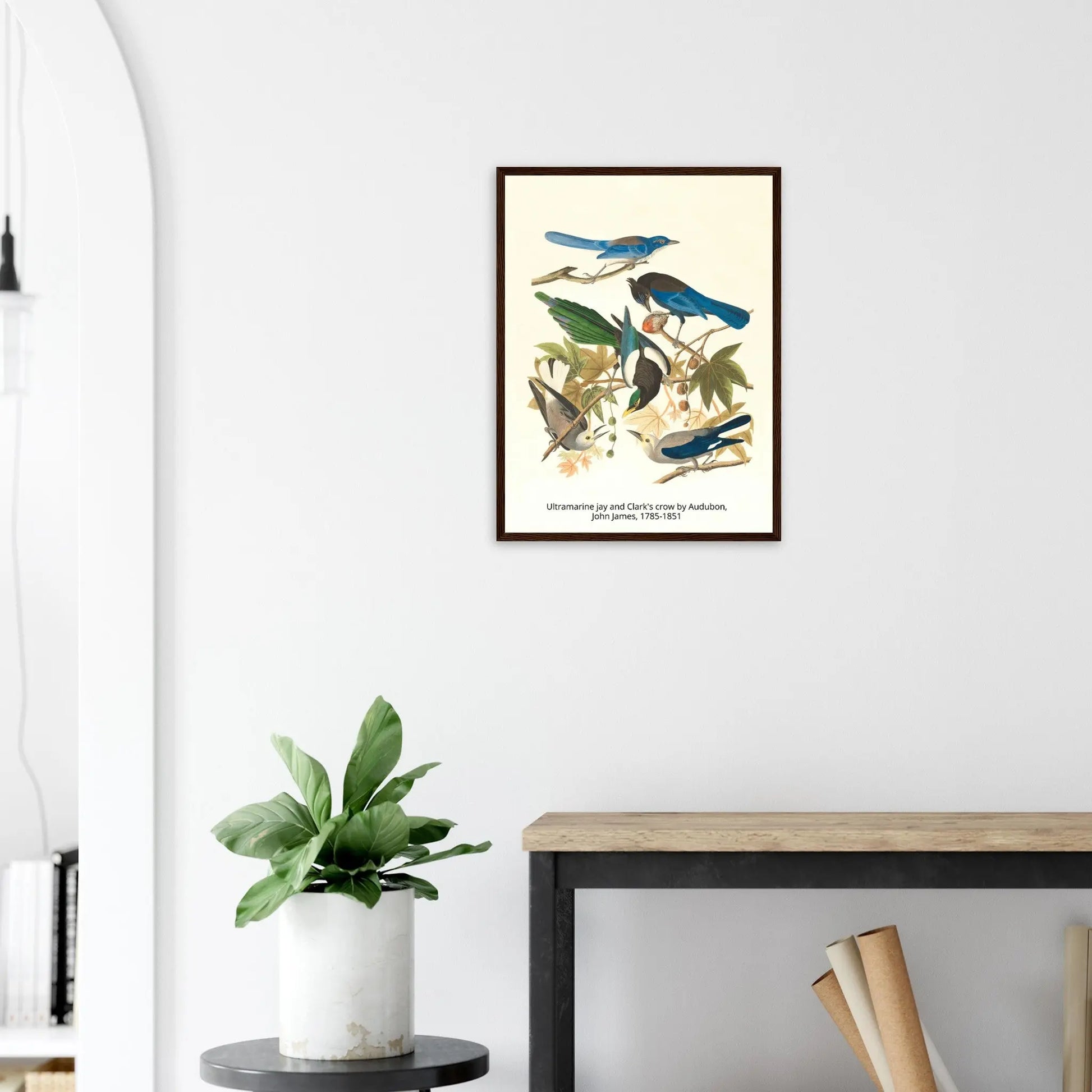 “Premium 🌿Earth-Conscious Pine Wall Art” - Classic Oil Painting, Bird and Flower Collections: Ultramarine jay and Clark's crow by Audubon, John James, 1785-1851 - Canvas Wiggle