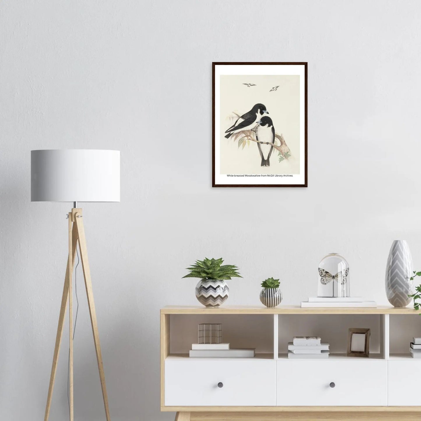 “Premium 🌿Earth-Conscious Pine Wall Art” - Classic Oil Painting, Bird and Flower Collections: White Breasted Woodswallow - Canvas Wiggle