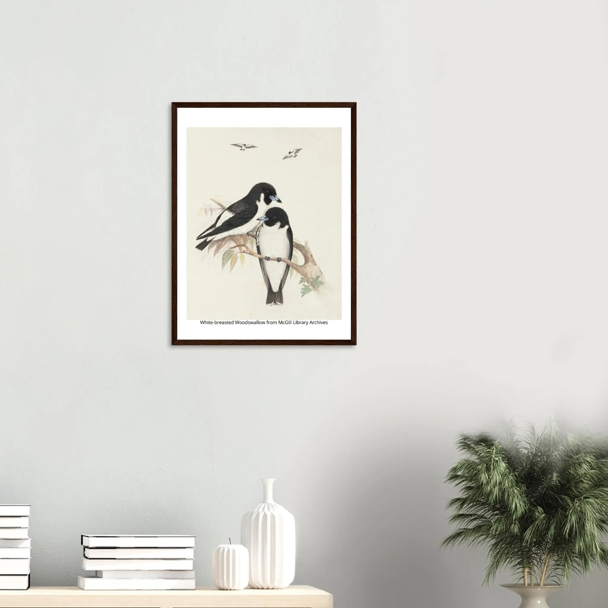 “Premium 🌿Earth-Conscious Pine Wall Art” - Classic Oil Painting, Bird and Flower Collections: White Breasted Woodswallow - Canvas Wiggle