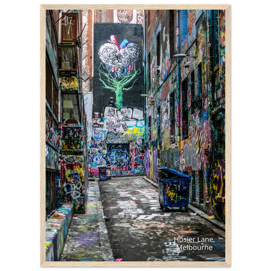 “Premium 🌿Earth-Conscious Pine Wall Art” - Graffiti Collections: Hosier Lane, Melbourne - Canvas Wiggle