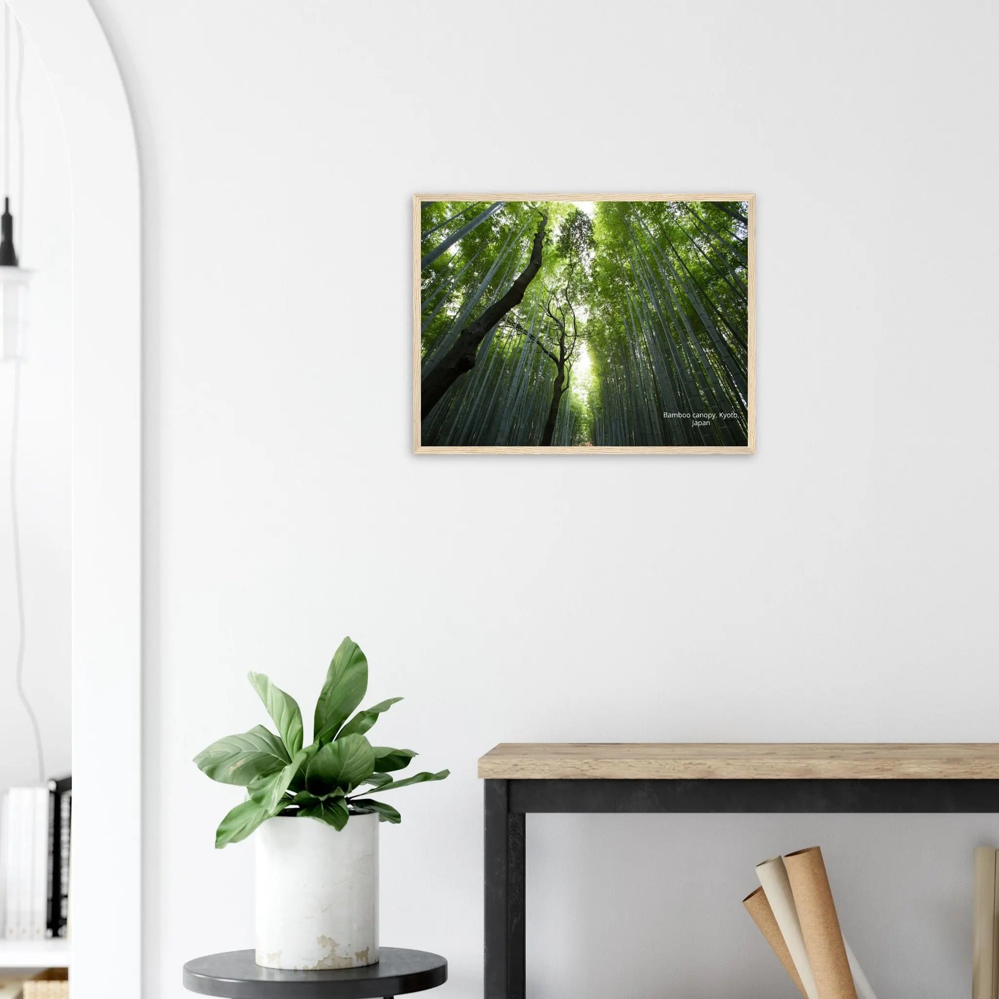 “Premium 🌿Earth-Conscious Pine Wall Art” - Untamed Nature Collections: Bamboo Canopy, Japan - Canvas Wiggle