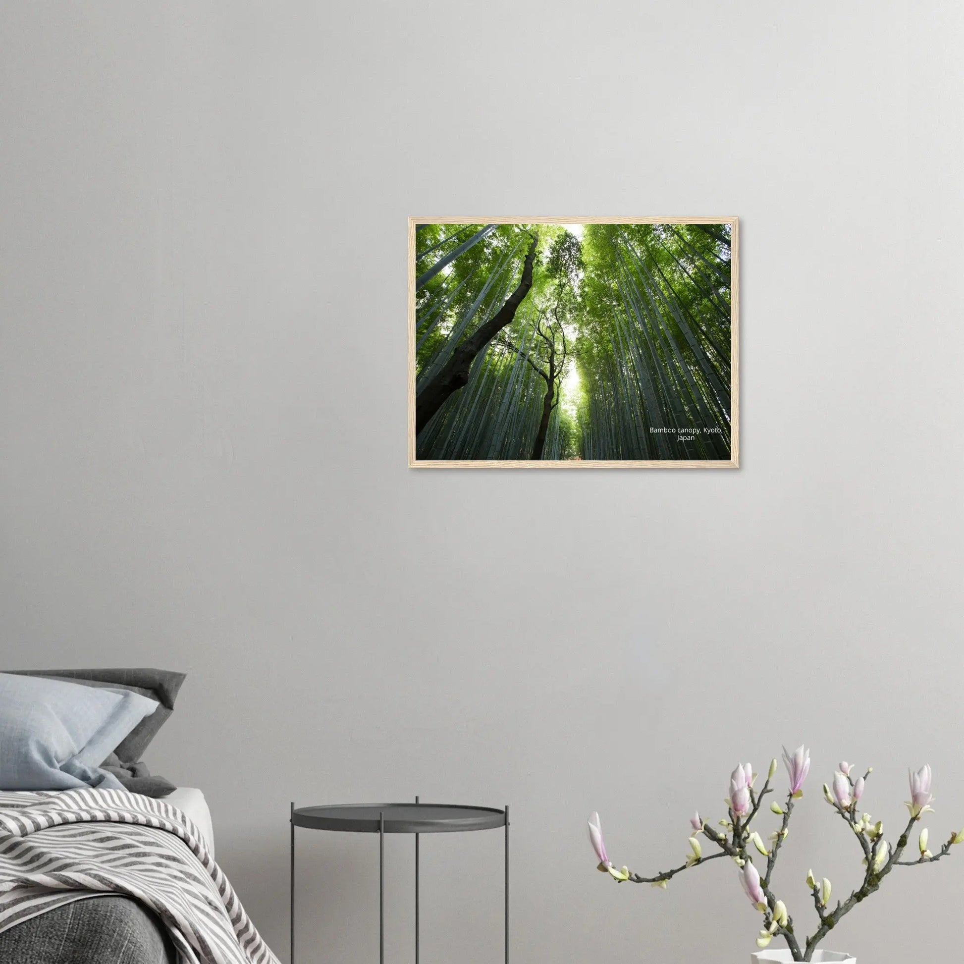 “Premium 🌿Earth-Conscious Pine Wall Art” - Untamed Nature Collections: Bamboo Canopy, Japan - Canvas Wiggle