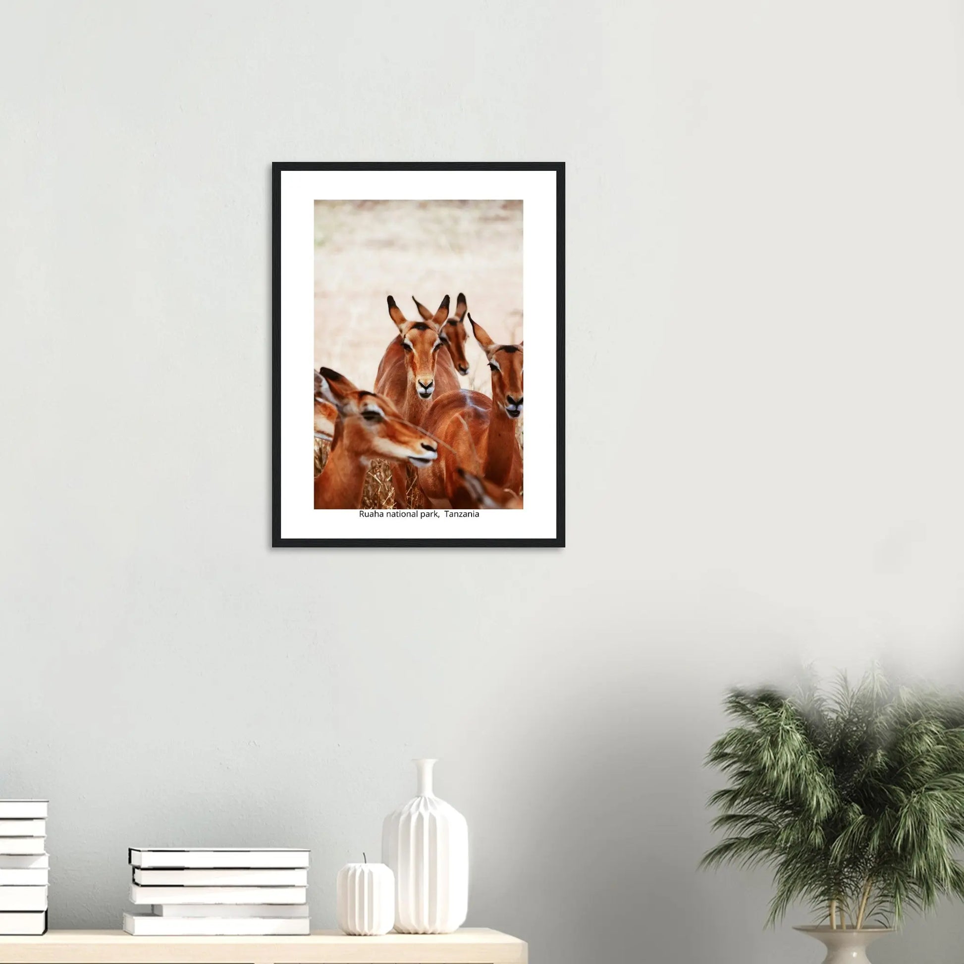 “Premium 🌿Earth-Conscious Pine Wall Art” - Untamed Nature Collections: Deer, Ruaha National Park, Tanzania - Canvas Wiggle