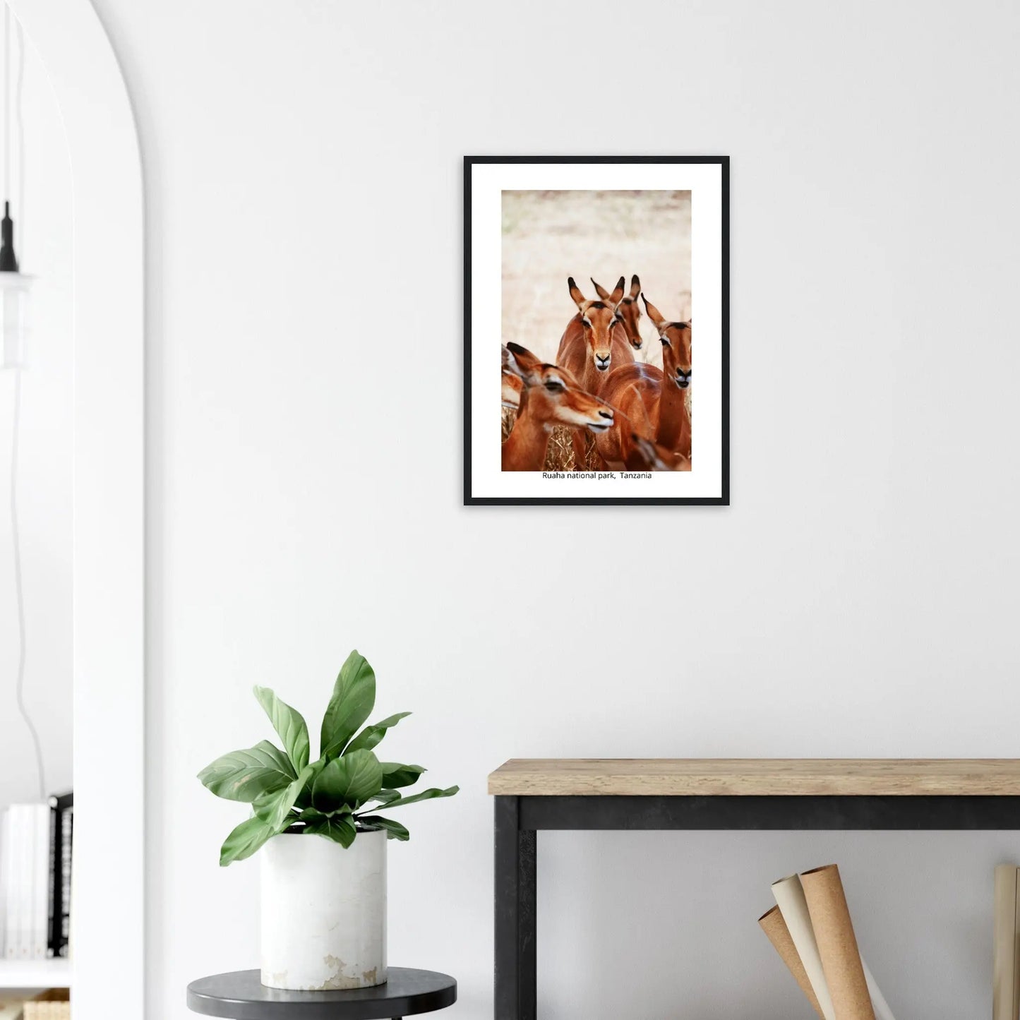 “Premium 🌿Earth-Conscious Pine Wall Art” - Untamed Nature Collections: Deer, Ruaha National Park, Tanzania - Canvas Wiggle