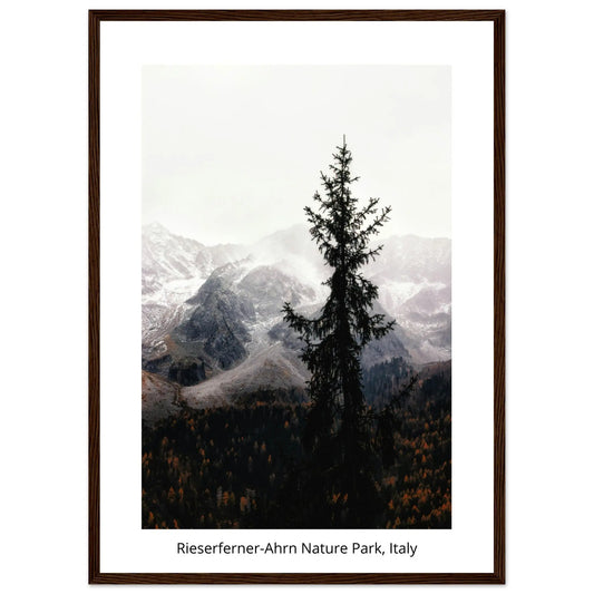 “Premium 🌿Earth-Conscious Pine Wall Art” - Untamed Nature Collections: Rieserferner-Ahrn Nature Park, Italy - Canvas Wiggle